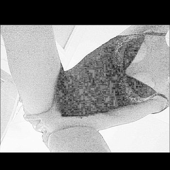 Profilo di Marie-ena