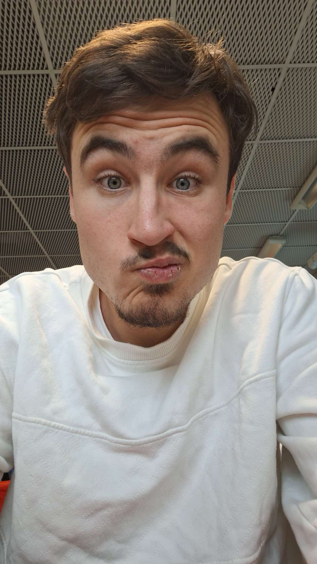 Profilo di Vladislas