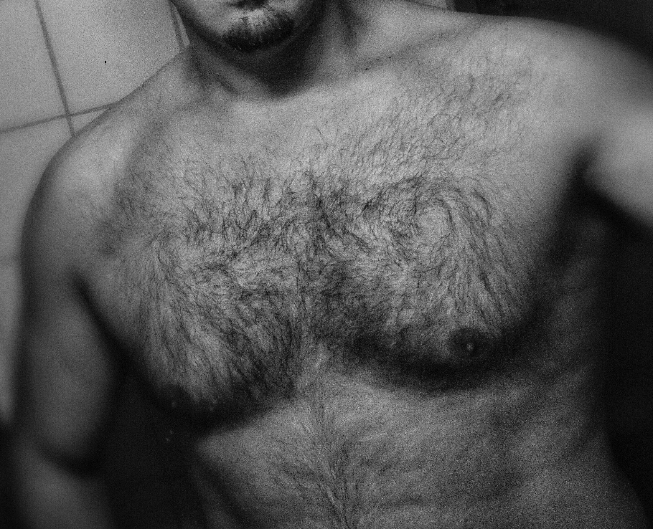 Profilo di Nicephore