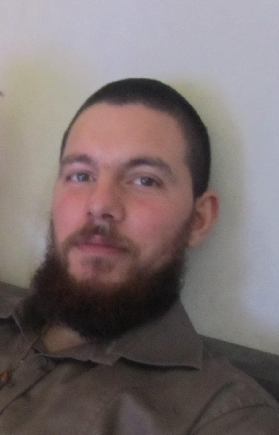 Profilo di Raffaello